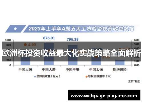 欧洲杯投资收益最大化实战策略全面解析 欧洲杯投资收益最大化实战策略全面解析