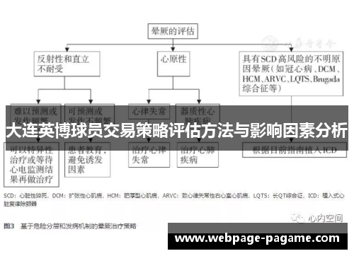 大连英博球员交易策略评估方法与影响因素分析