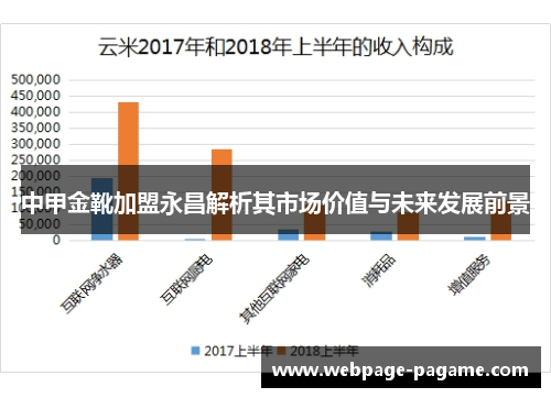 中甲金靴加盟永昌解析其市场价值与未来发展前景 中甲金靴加盟永昌解析其市场价值与未来发展前景