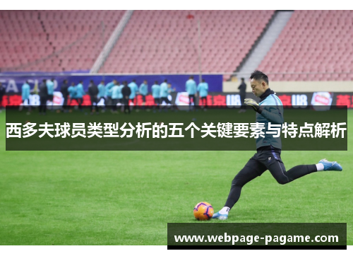 西多夫球员类型分析的五个关键要素与特点解析 西多夫球员类型分析的五个关键要素与特点解析