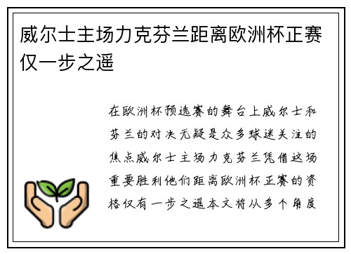 威尔士主场力克芬兰距离欧洲杯正赛仅一步之遥 威尔士主场力克芬兰距离欧洲杯正赛仅一步之遥